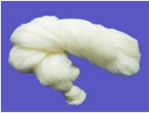 �����w�S��